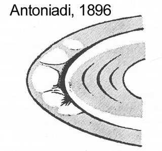 Illustration for article titled Are the Spokes in Saturn's Rings Merely an Optical Illusion?